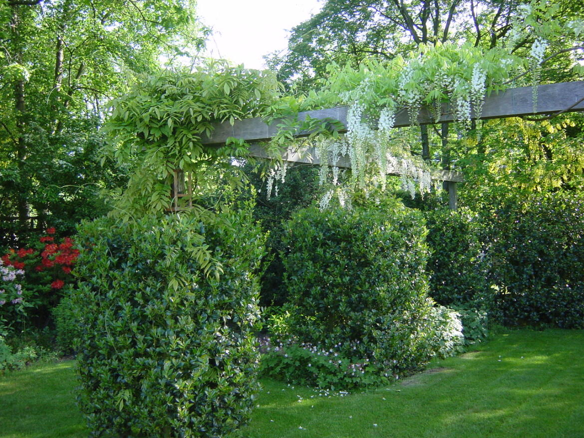 Pergola 7