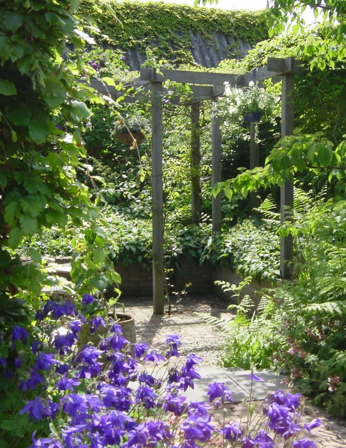 Pergola 8