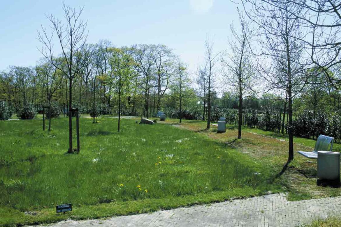 Harenerhof 3