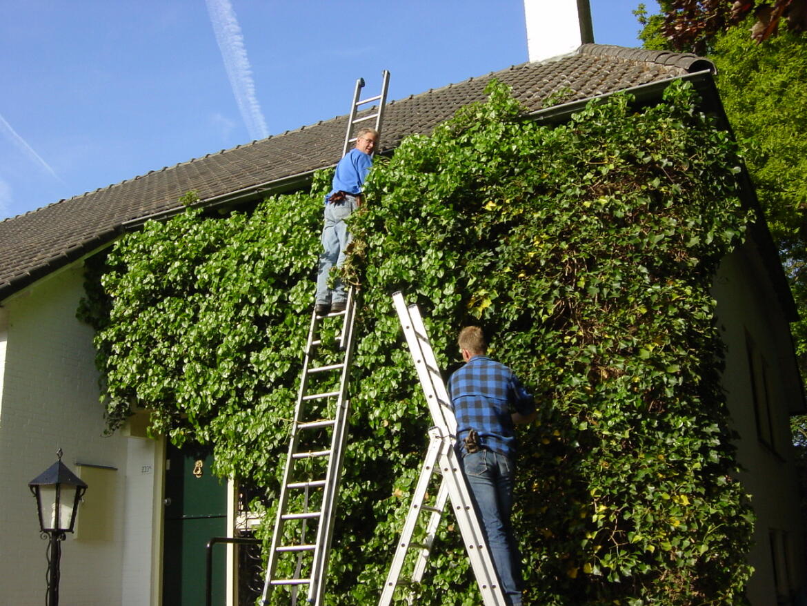 Tuinonderhoud 1
